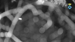 Webcams