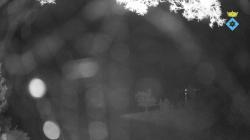 Webcams