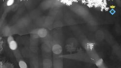 Webcams