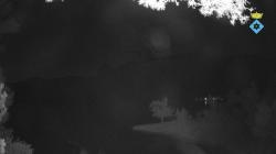 Webcams