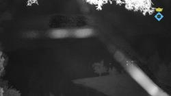 Webcams