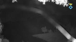 Webcams