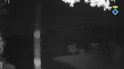 Webcams
