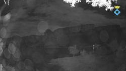 Webcams