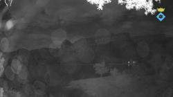 Webcams