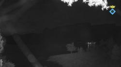 Webcams
