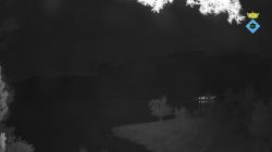 Webcams