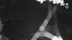 Webcams