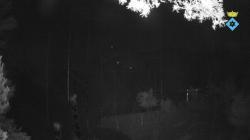 Webcams