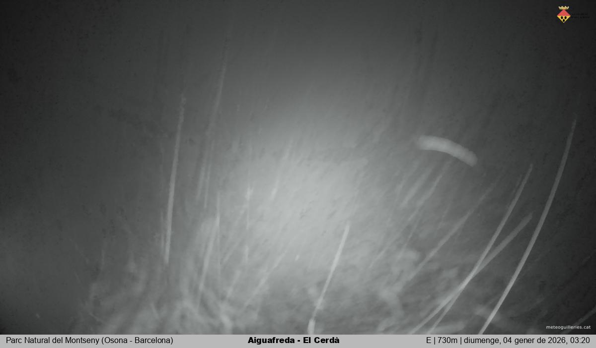 Aiguafreda - El Cerdà