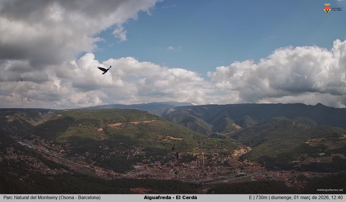 Aiguafreda - El Cerdà