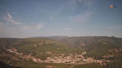 Webcams