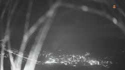 Webcams