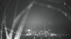 Webcams