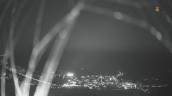 Webcams
