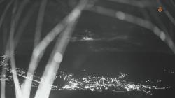 Webcams