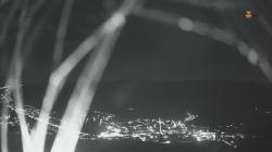 Webcams