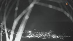 Webcams