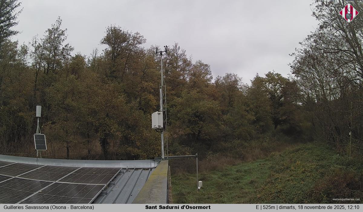 Sant Sadurní d'Osormort 