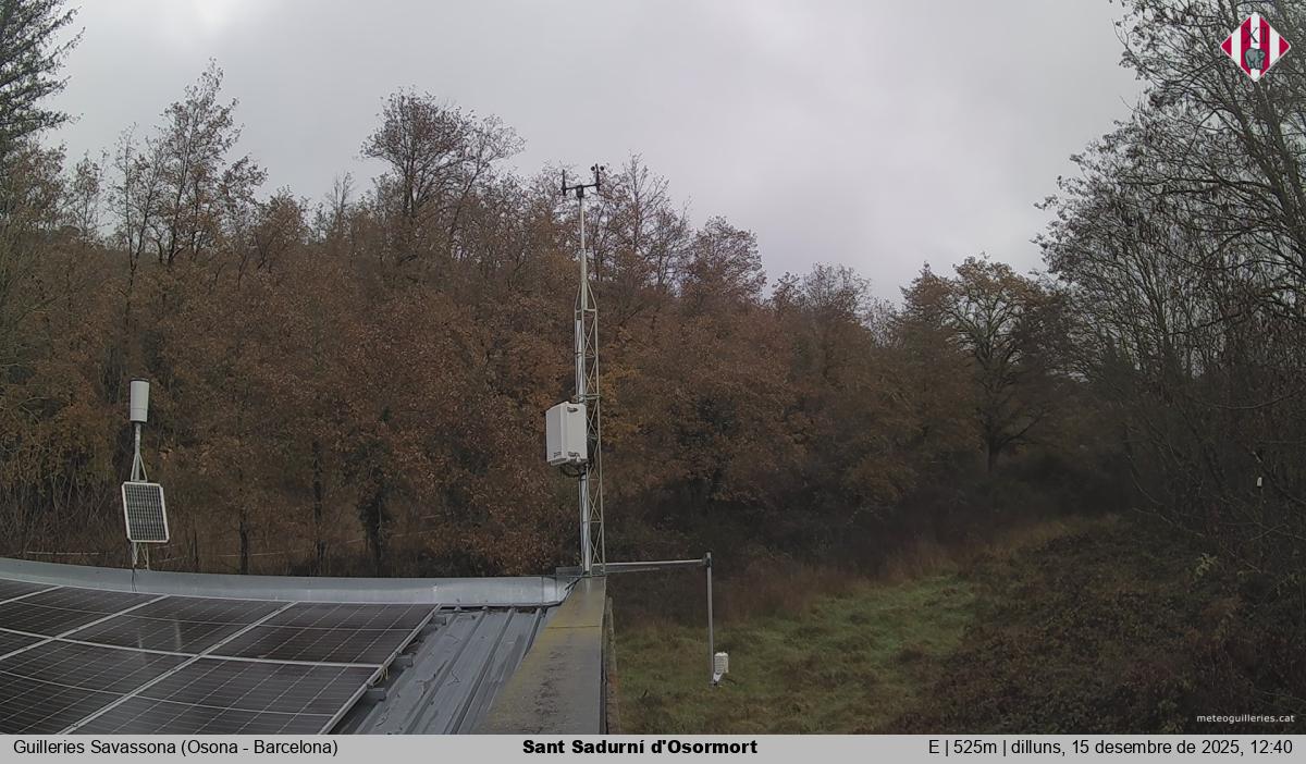 Sant Sadurní d'Osormort 