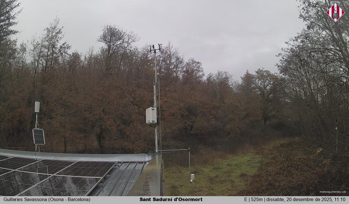 Sant Sadurní d'Osormort 