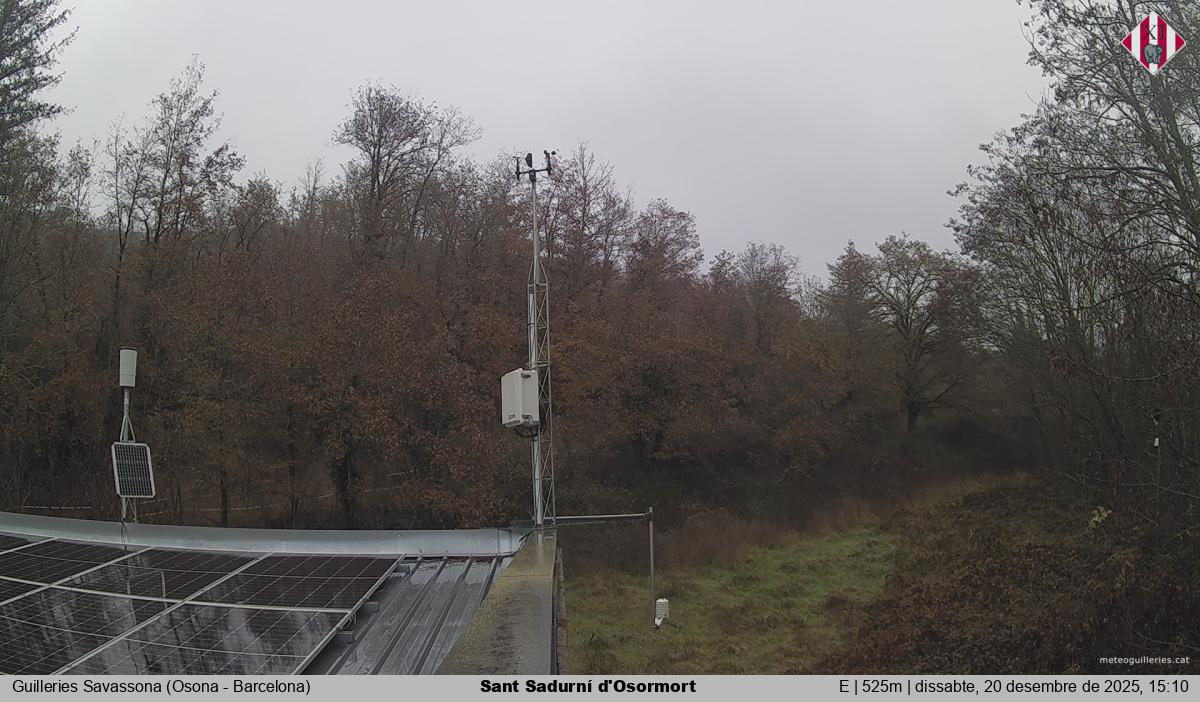 Sant Sadurní d'Osormort 