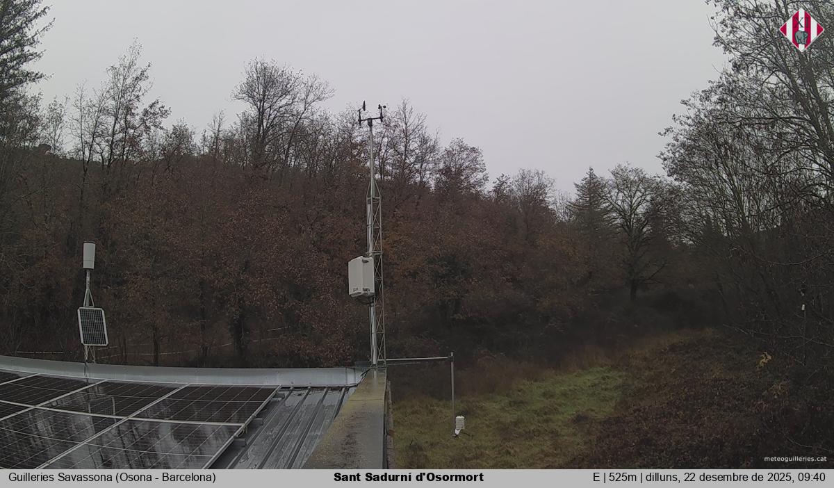 Sant Sadurní d'Osormort 