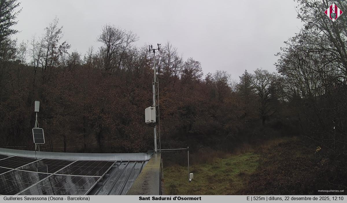 Sant Sadurní d'Osormort 