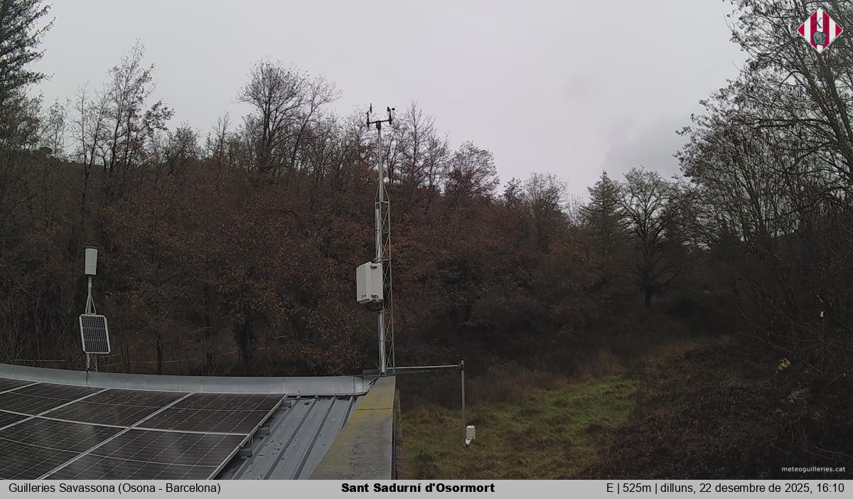 Sant Sadurní d'Osormort 