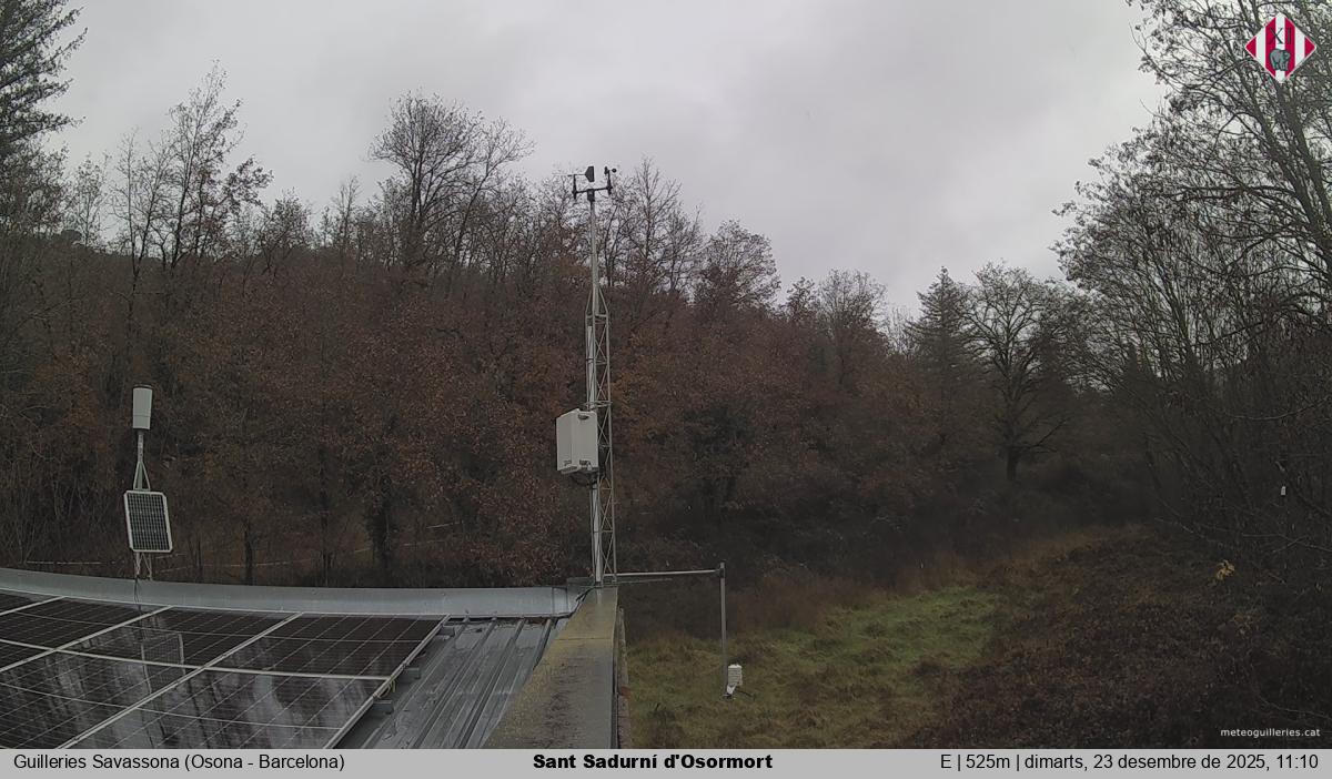 Sant Sadurní d'Osormort 