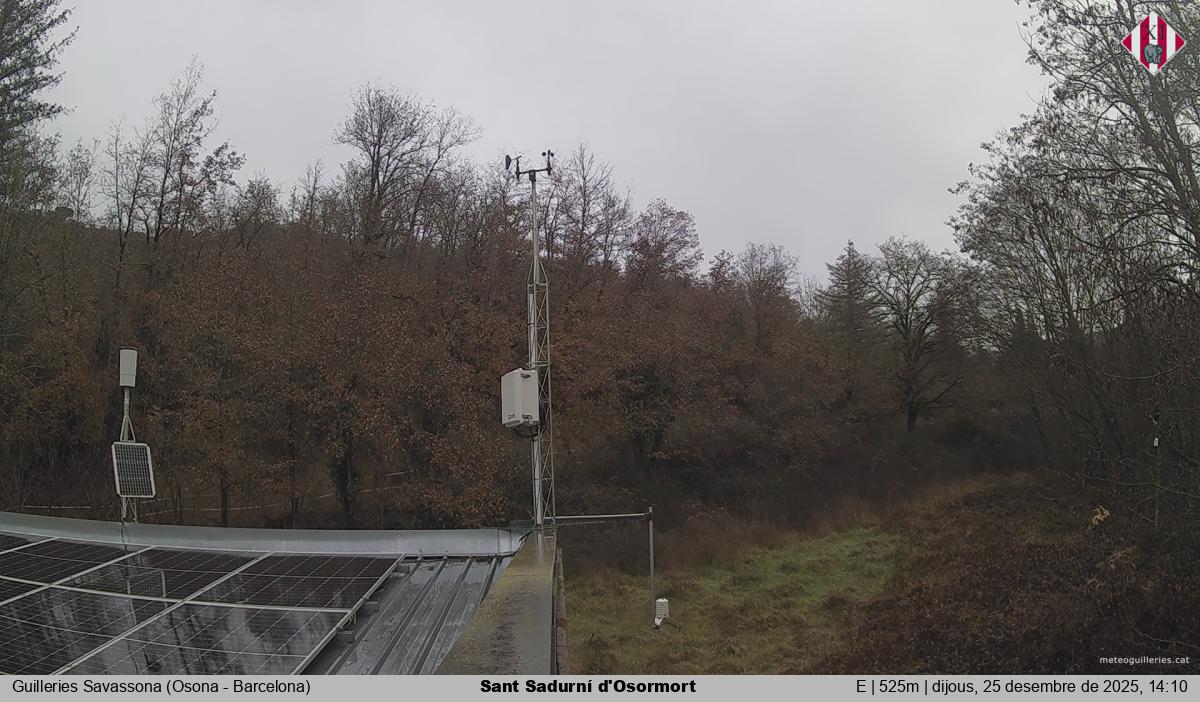 Sant Sadurní d'Osormort 