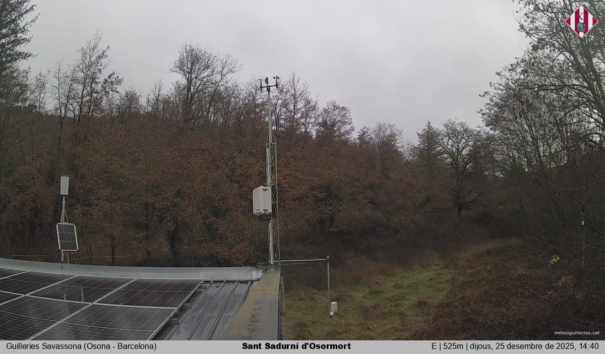 Sant Sadurní d'Osormort 