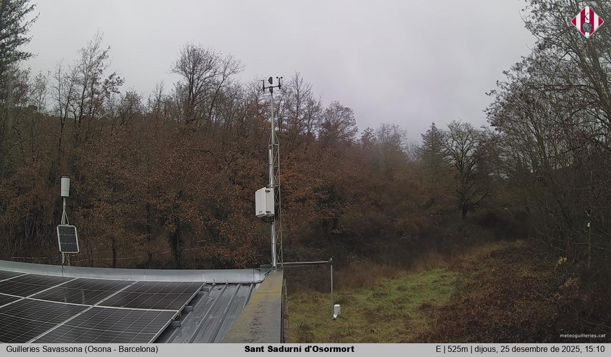 Sant Sadurní d'Osormort 