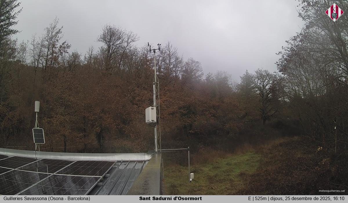 Sant Sadurní d'Osormort 