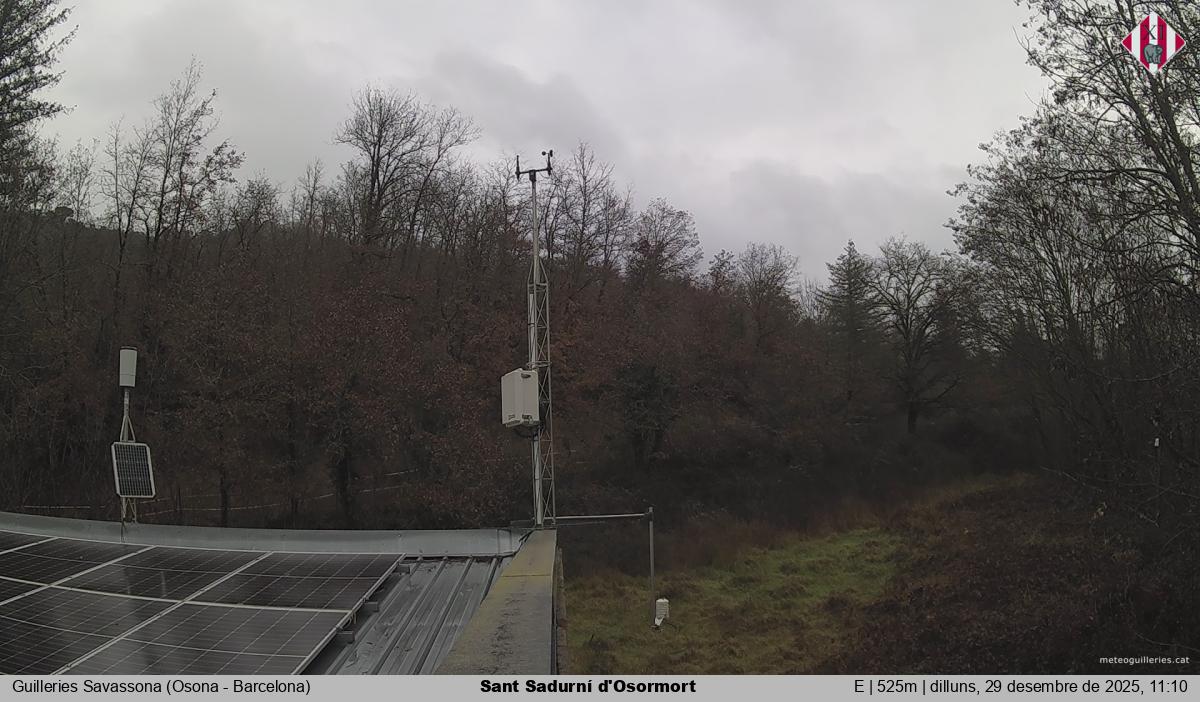 Sant Sadurní d'Osormort 