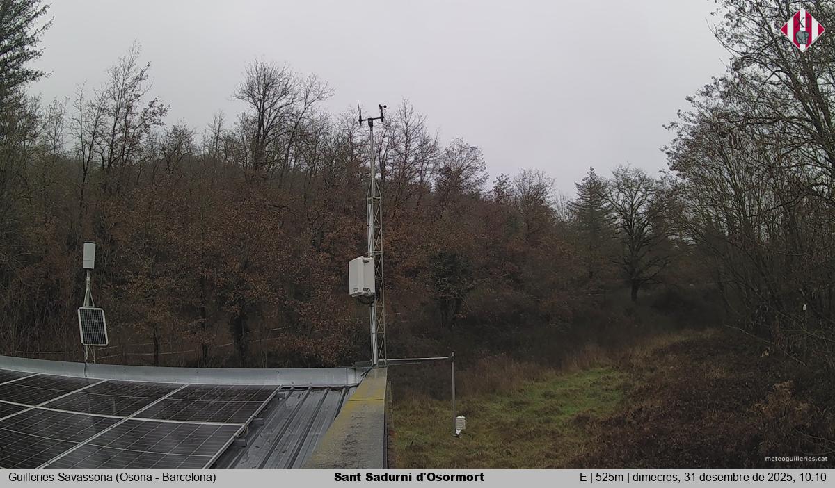 Sant Sadurní d'Osormort 