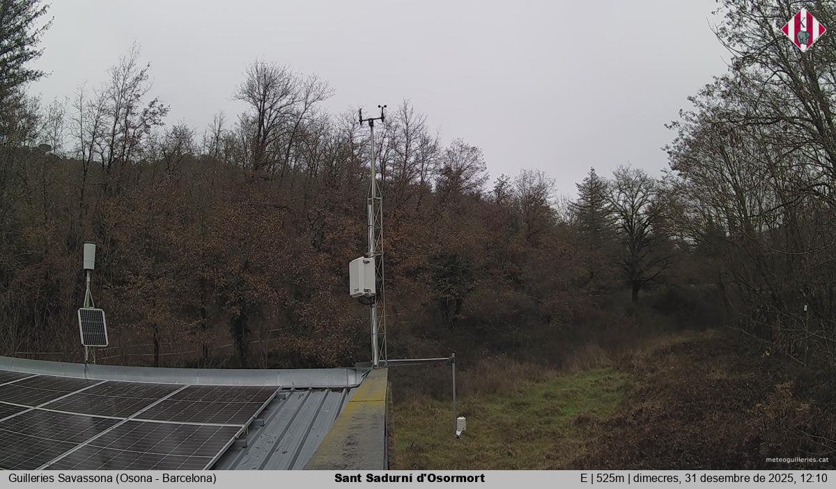 Sant Sadurní d'Osormort 