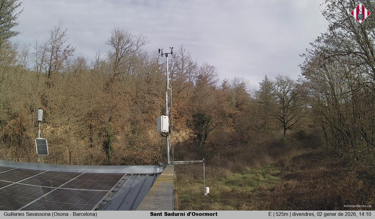 Sant Sadurní d'Osormort 