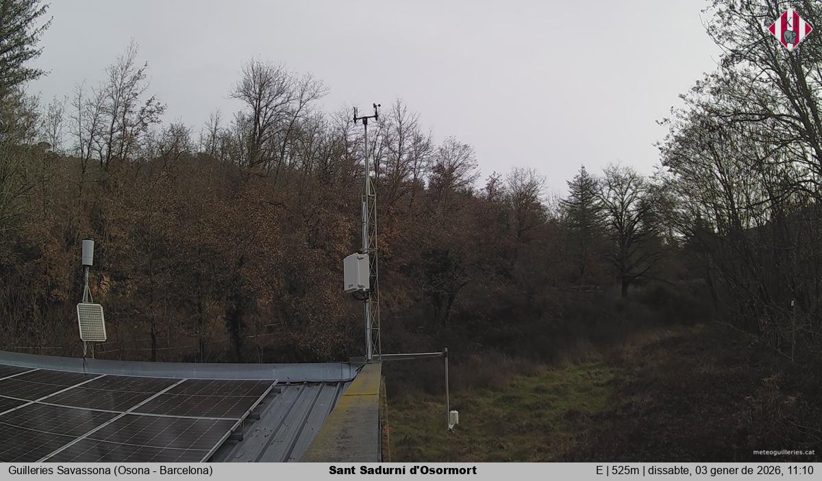 Sant Sadurní d'Osormort 