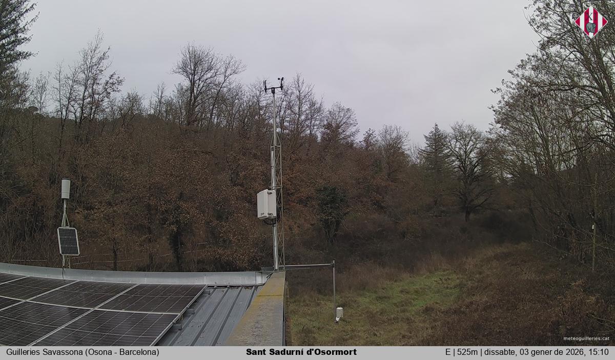 Sant Sadurní d'Osormort 