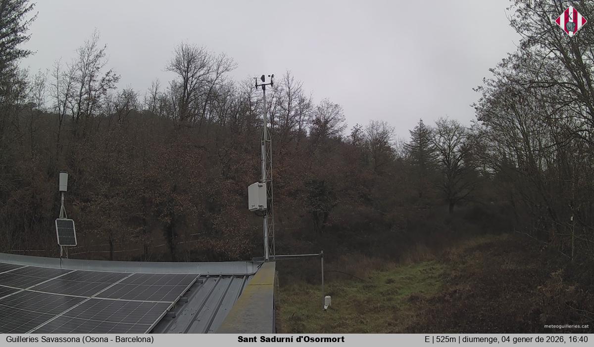 Sant Sadurní d'Osormort 