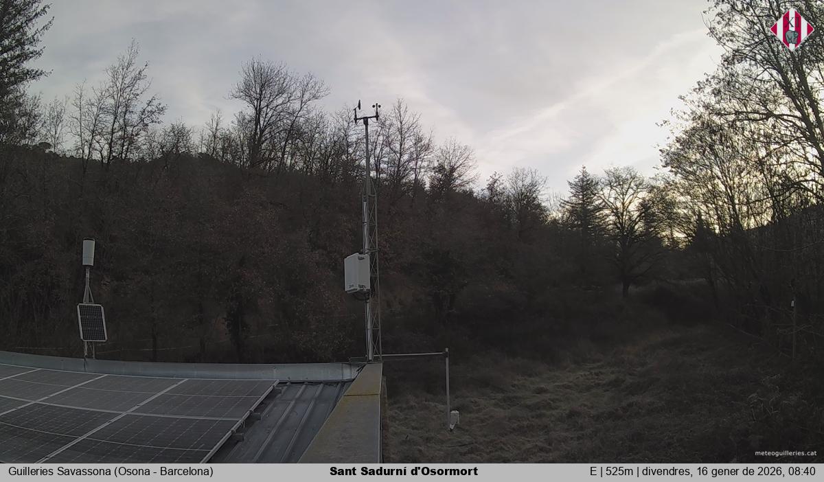 Sant Sadurní d'Osormort 