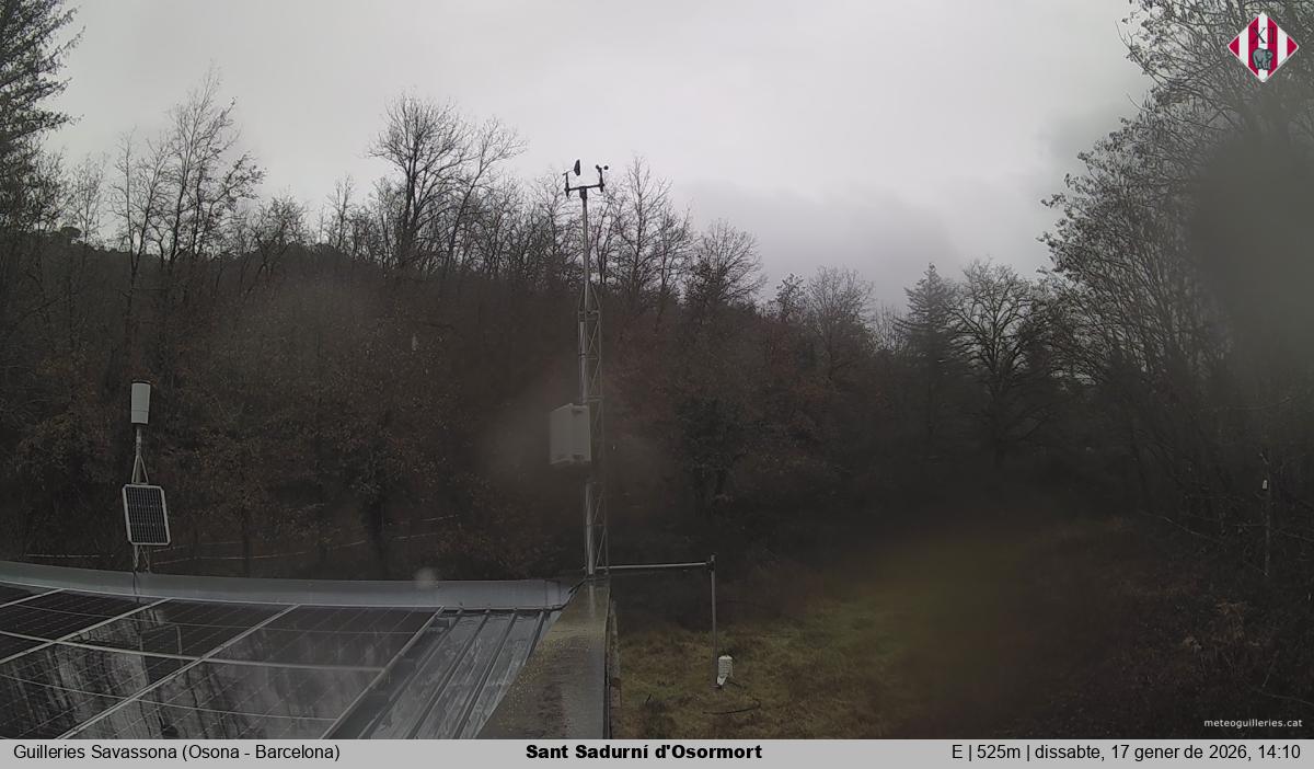 Sant Sadurní d'Osormort 