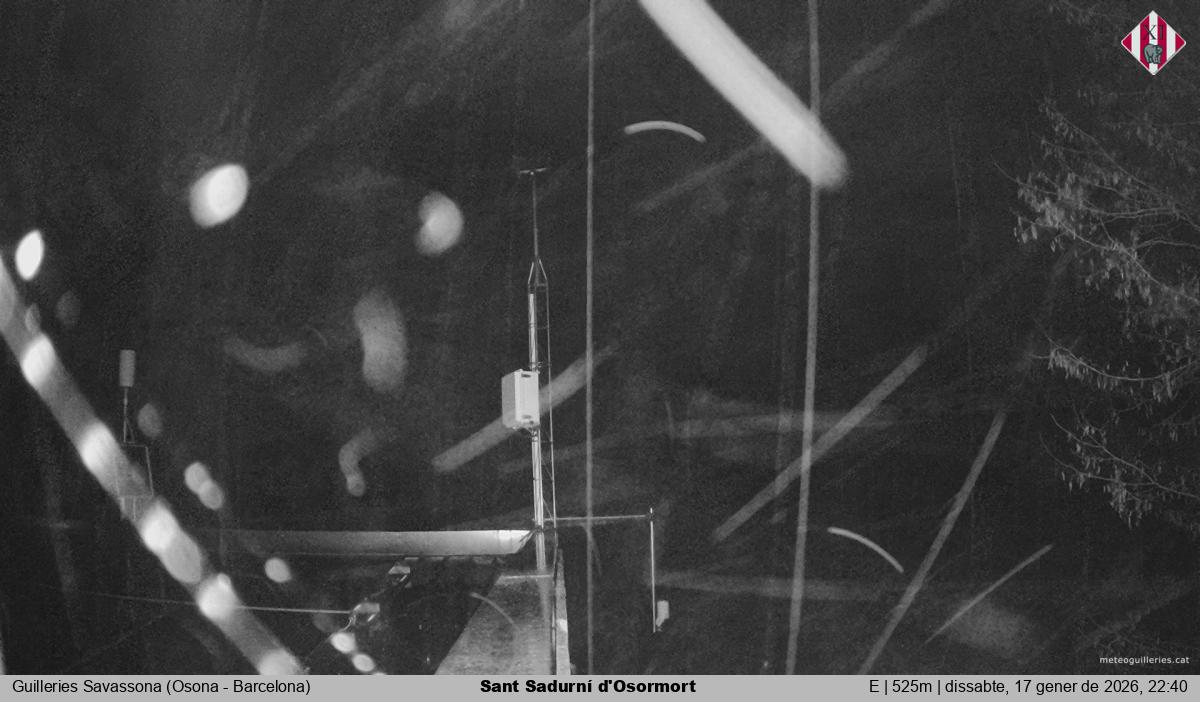 Sant Sadurní d'Osormort 