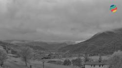 Webcams