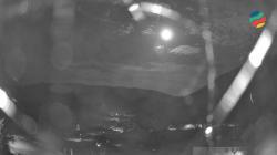 Webcams