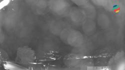 Webcams