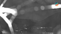 Webcams