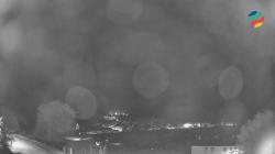 Webcams