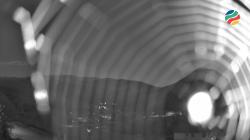 Webcams